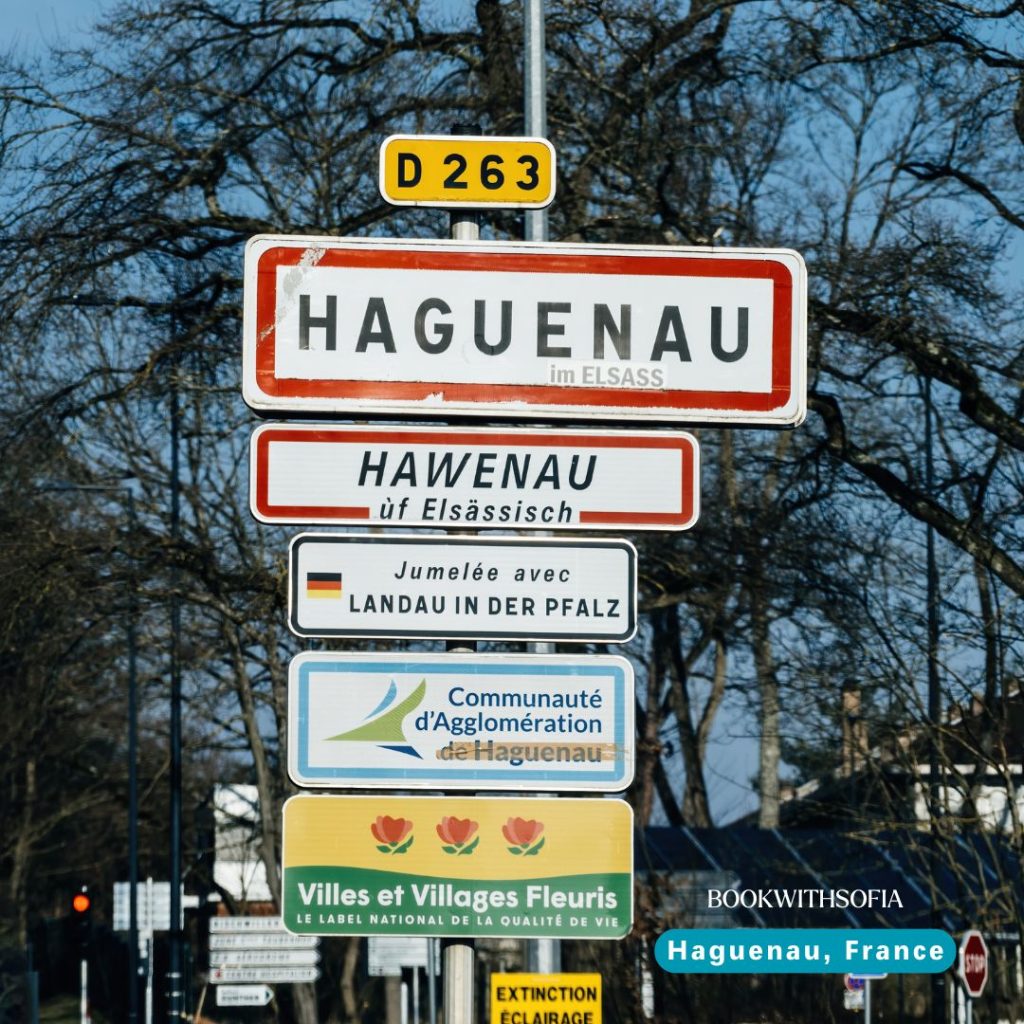 D 263 Haguenau
