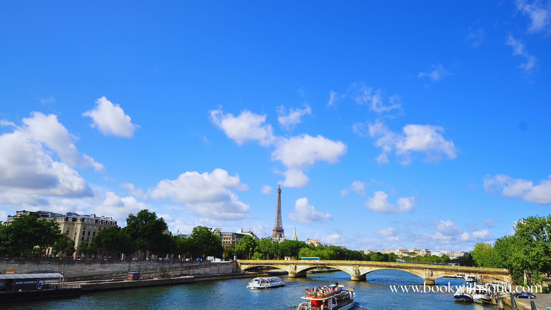 Seine River Cruise Overlooking Eifferl